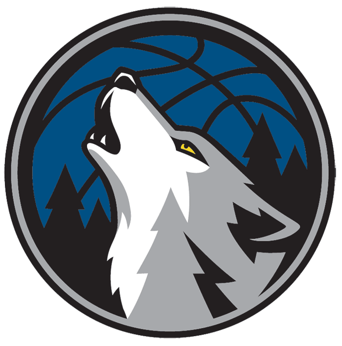 Minnesota Timberwolves 2008-2017 Alternate Logo fabric transfer version 2